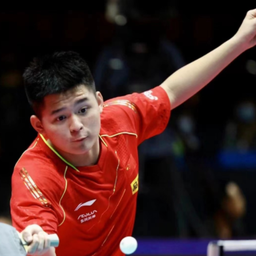 体育教育数 体育教育数